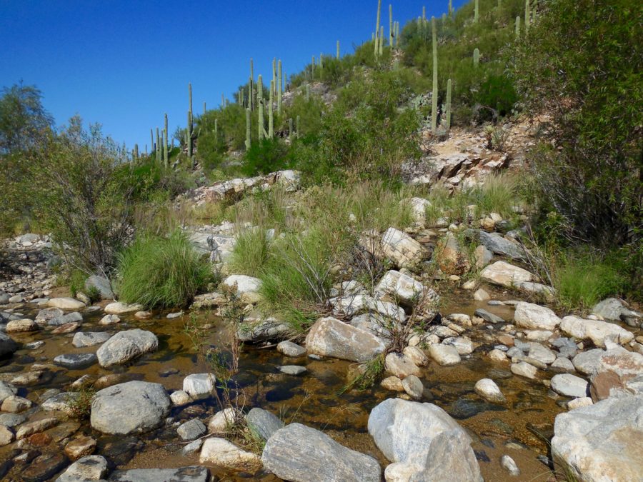 7 falls hike