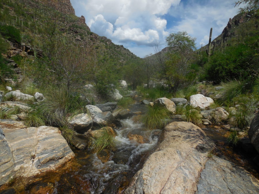 7 falls hiking trail