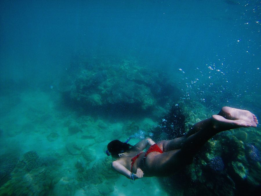 Snorkeling in Australia