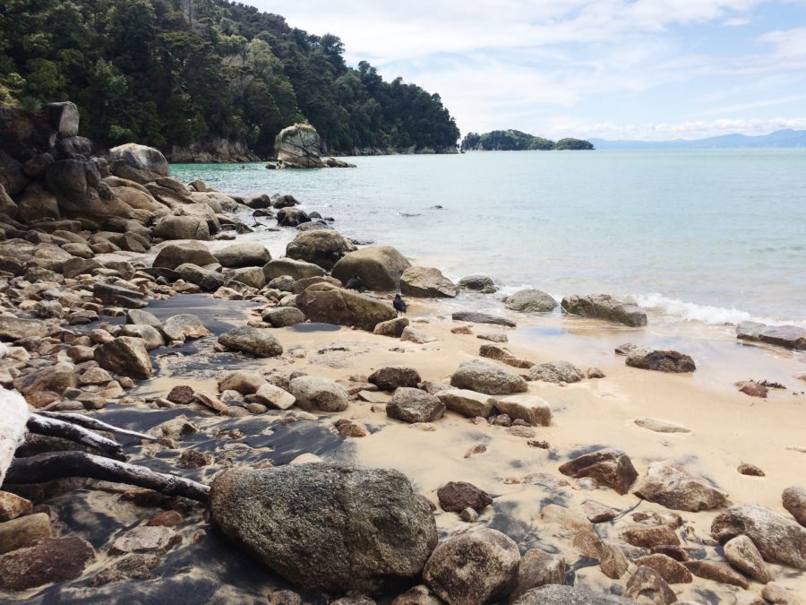 Abel Tasman National Park