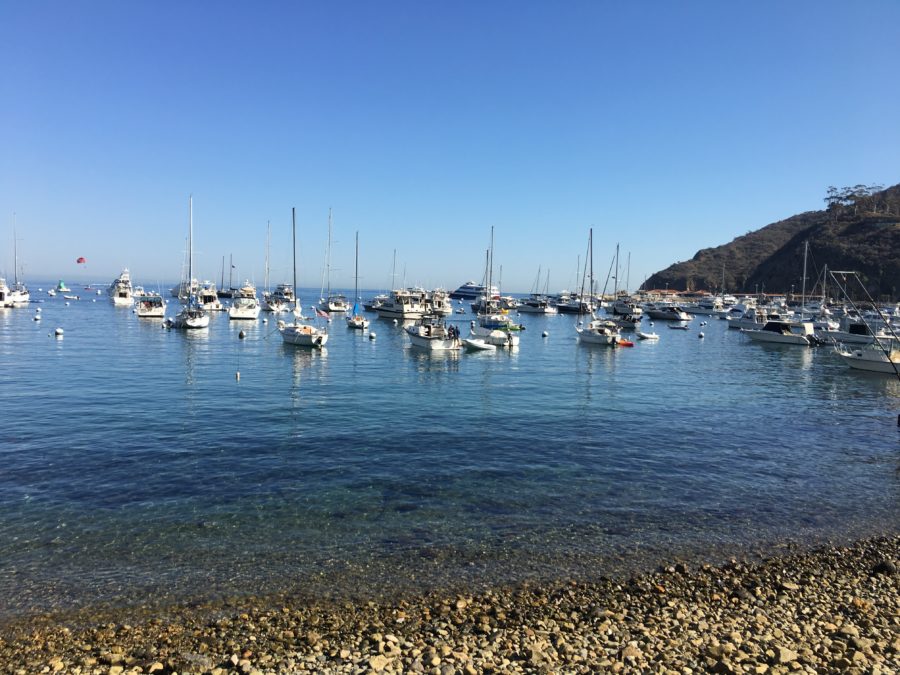 Catalina Island