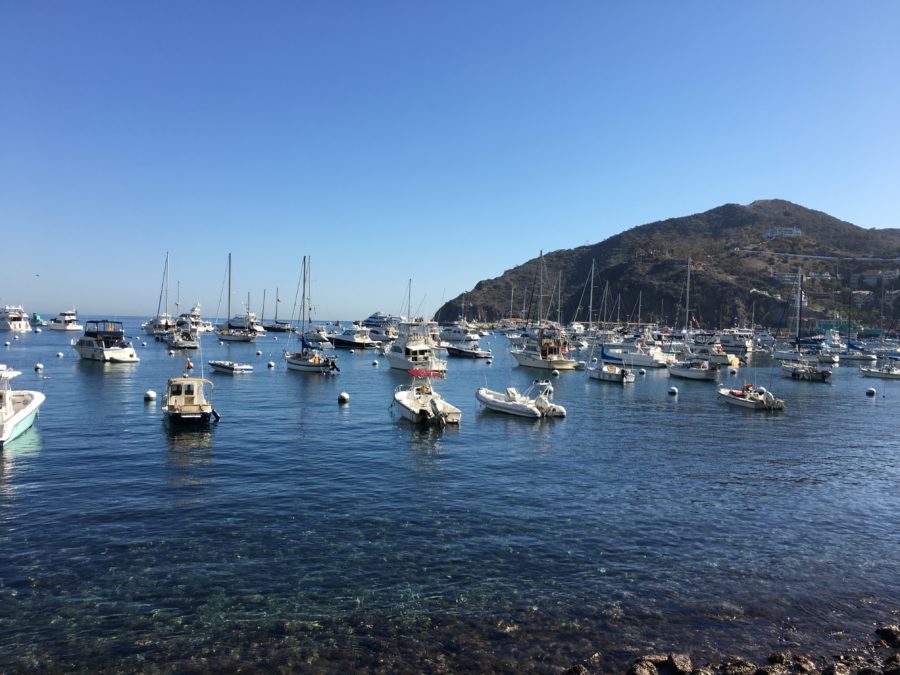 Catalina Island