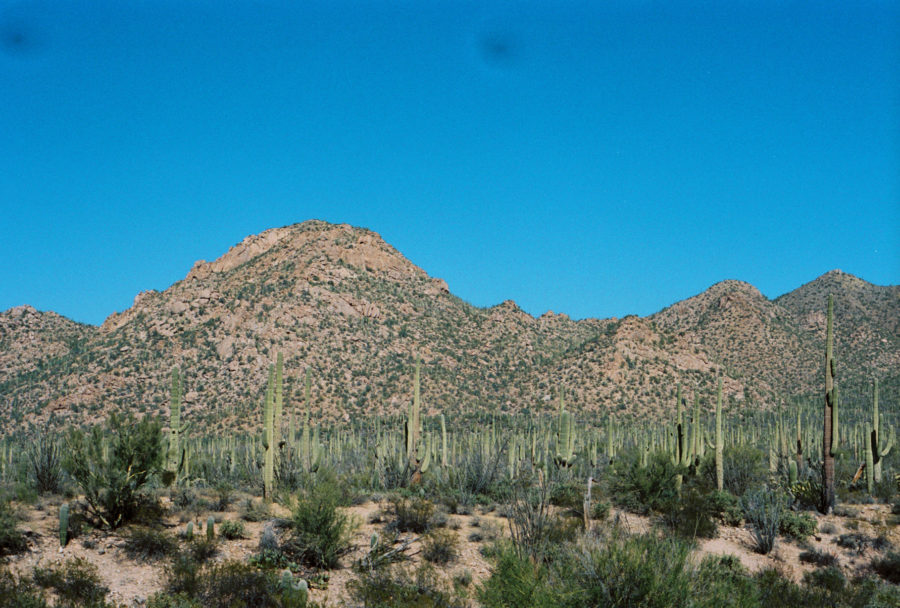 Saguaro National Park