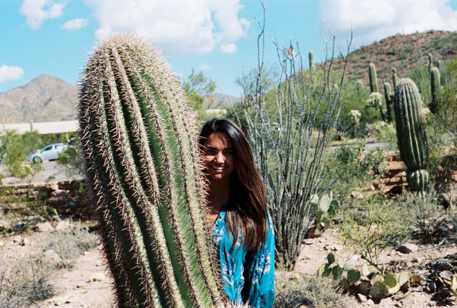 Saguaro National Park