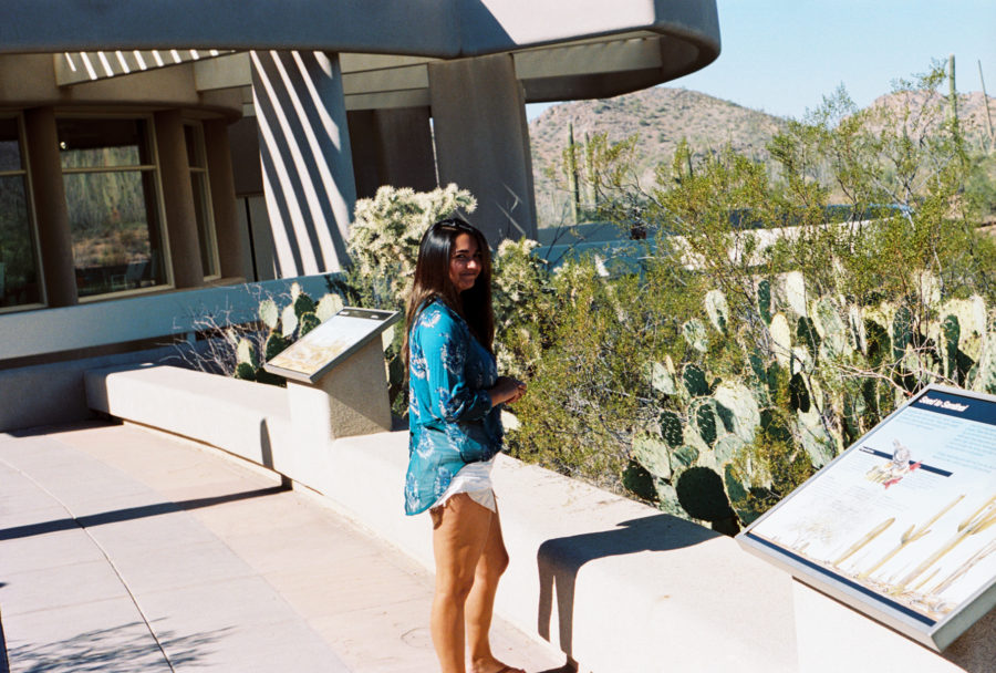 Saguaro National Park