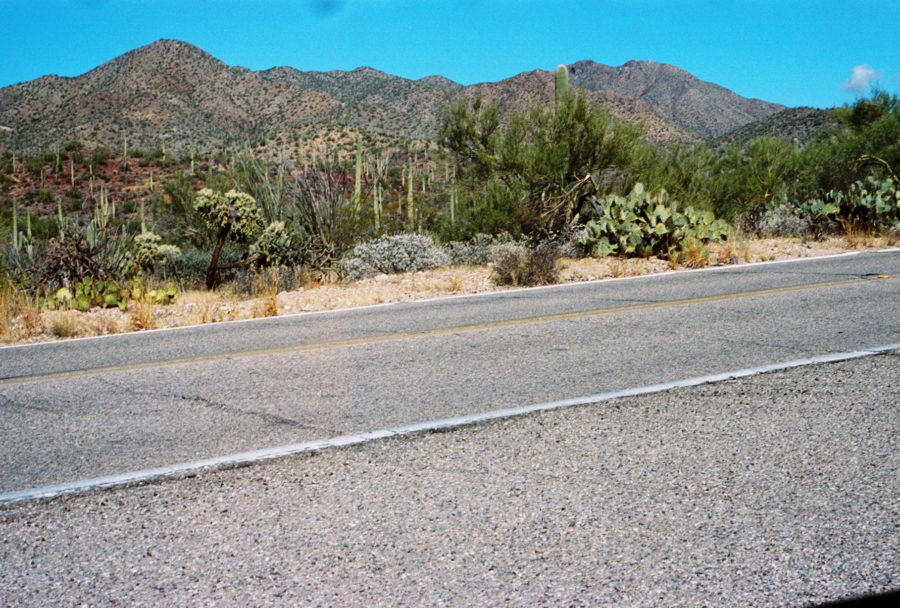 Saguaro National Park