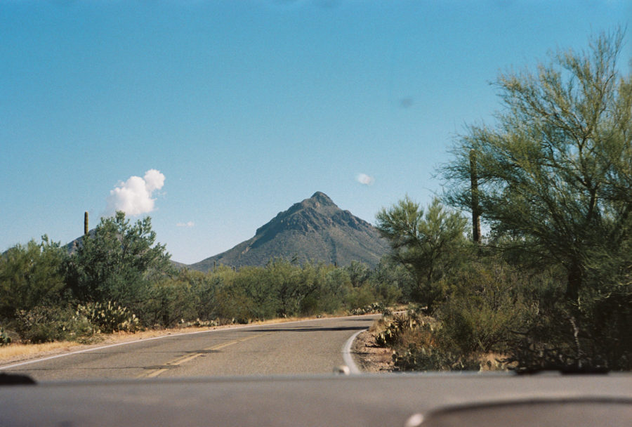 Saguaro National Park