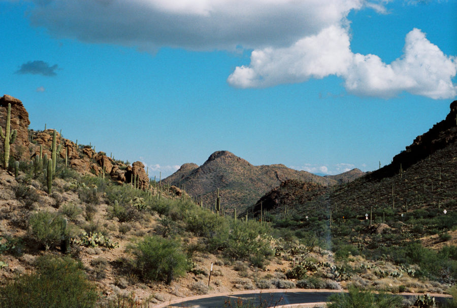 Saguaro National Park