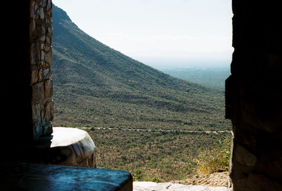 Saguaro National Park