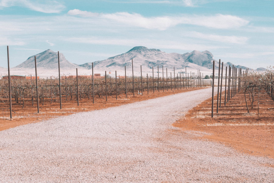 Rancho Rossa Vineyards has a vintage music feel and even features a salt water aquarium!